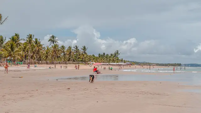 Porto Seguro